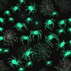 Glow-in-the-Dark Spiders